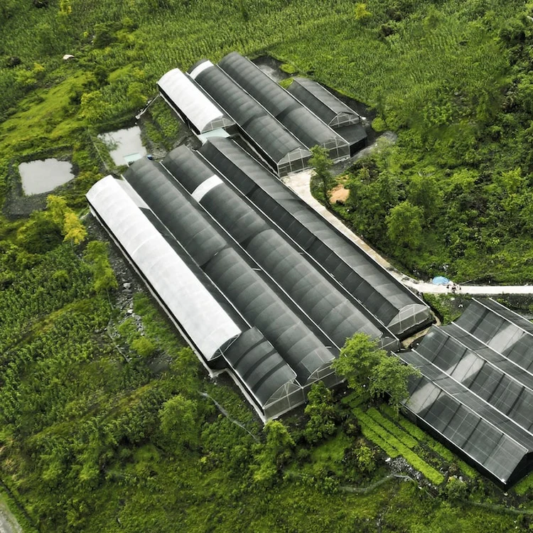 alikanature
